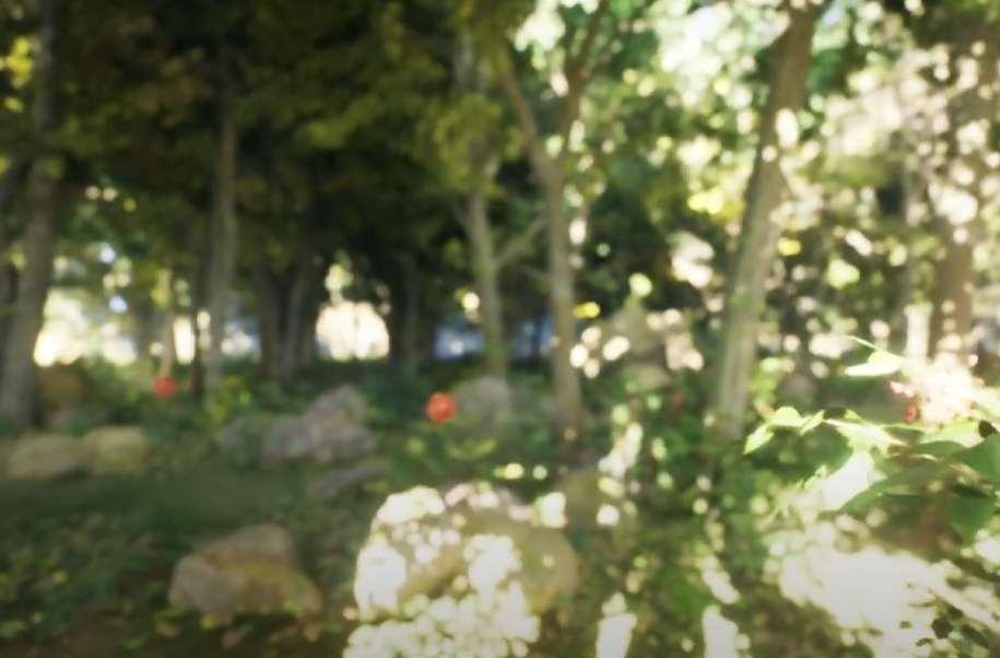 project_image
