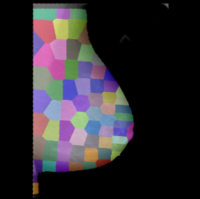 project_image